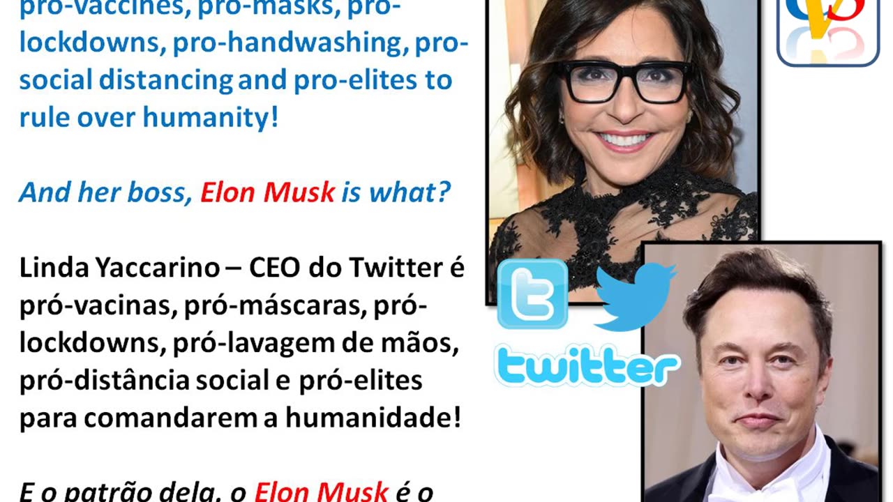 CEO do Twitter vs Elon Musk