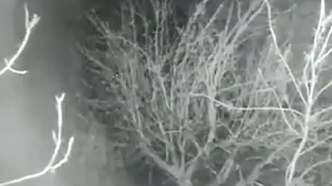 Massive strikes on the positions of the Ukrainian military in the area of Pervomaisk
