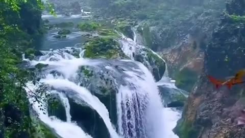 #Useful#Beautiful#Funny #Funny video#laugh# interesting#video#short video#short#short cut