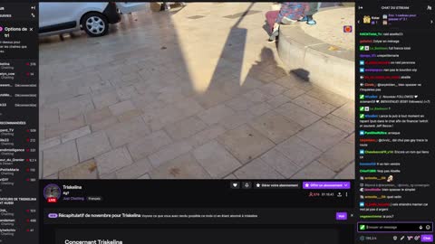 2022-12-17 (4bis.2) - Frites et trampoline - Twitch Triskelina (version avec chat)