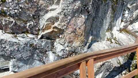 Checking out the Dock