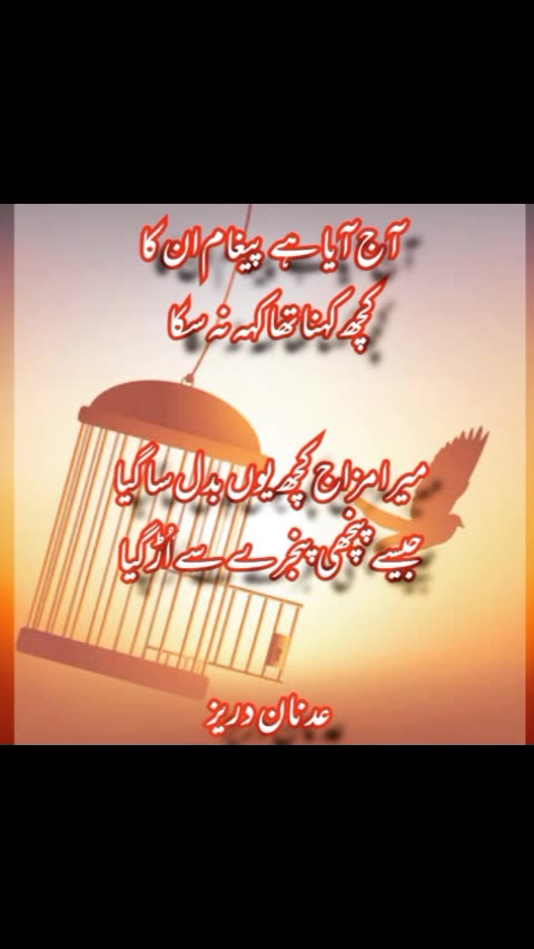 Adnan Durez ka Dewan