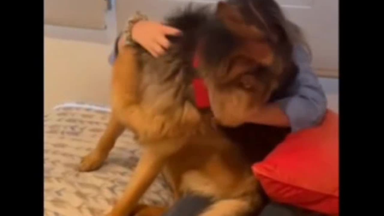 DOG ECSTATIC TO BE REUNITED WITH A LONG LOST FRIEND~SUCH LOYALTY AND FRIENDSHIP