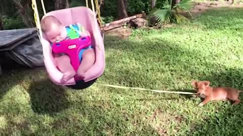 Funny Babies Videos