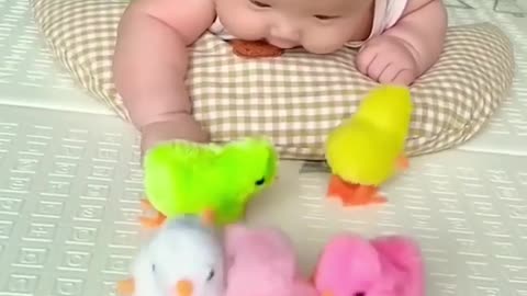 🐥🐥🐥🐥🐥