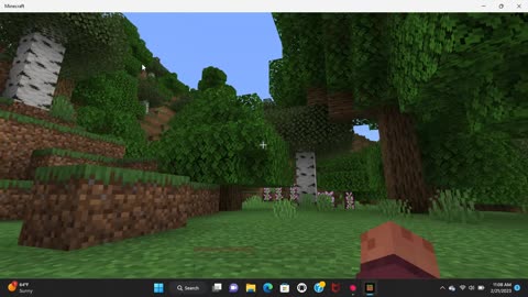 Minecraft seed, forest, hills, shore