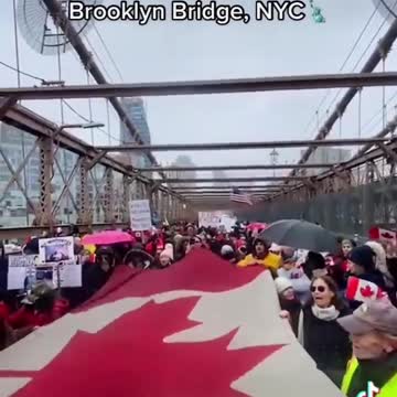 🇨🇦🇺🇸New Yorkers Stand For Canada! Brooklyn Bridge, NYC🇺🇸🇨🇦