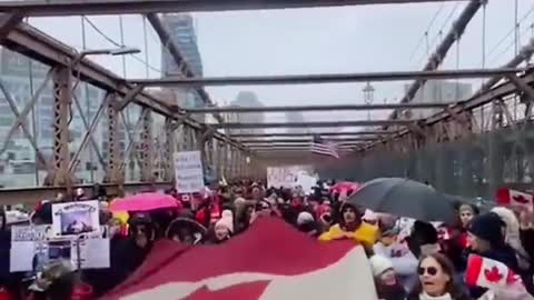 🇨🇦🇺🇸New Yorkers Stand For Canada! Brooklyn Bridge, NYC🇺🇸🇨🇦