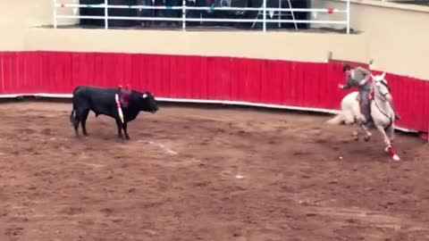 2018 Corrida de Toros