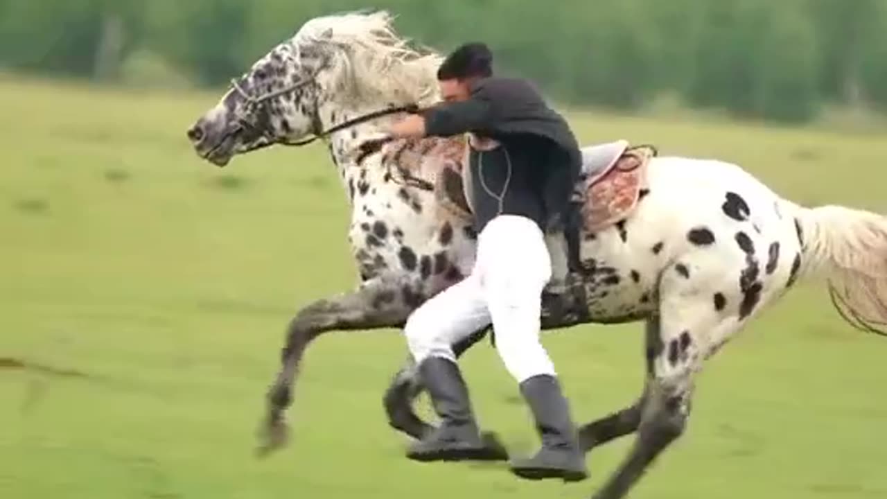 Hours Rider Amazing video