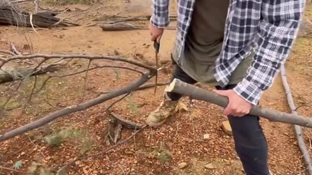 Catch & Cook Trout