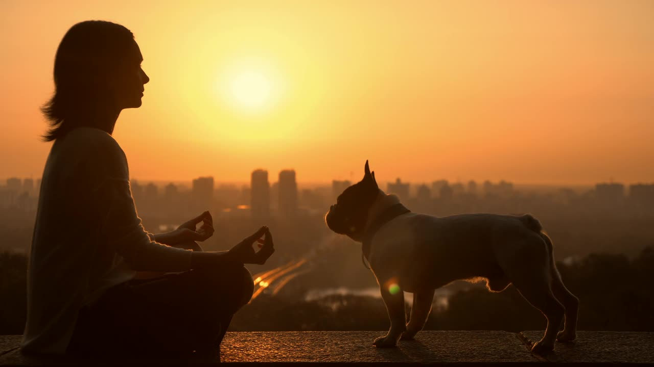 Morning time work experience with her dog