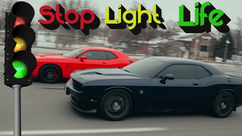 Stop Light Life