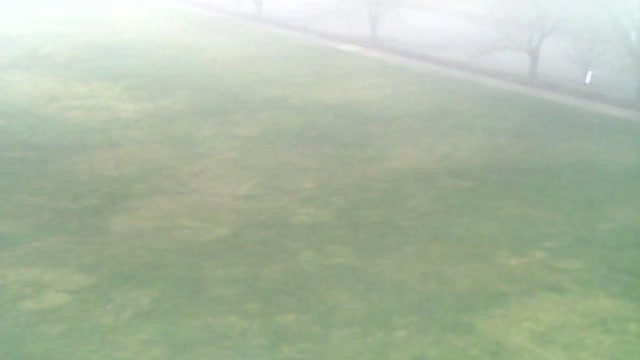 Flight in the fog