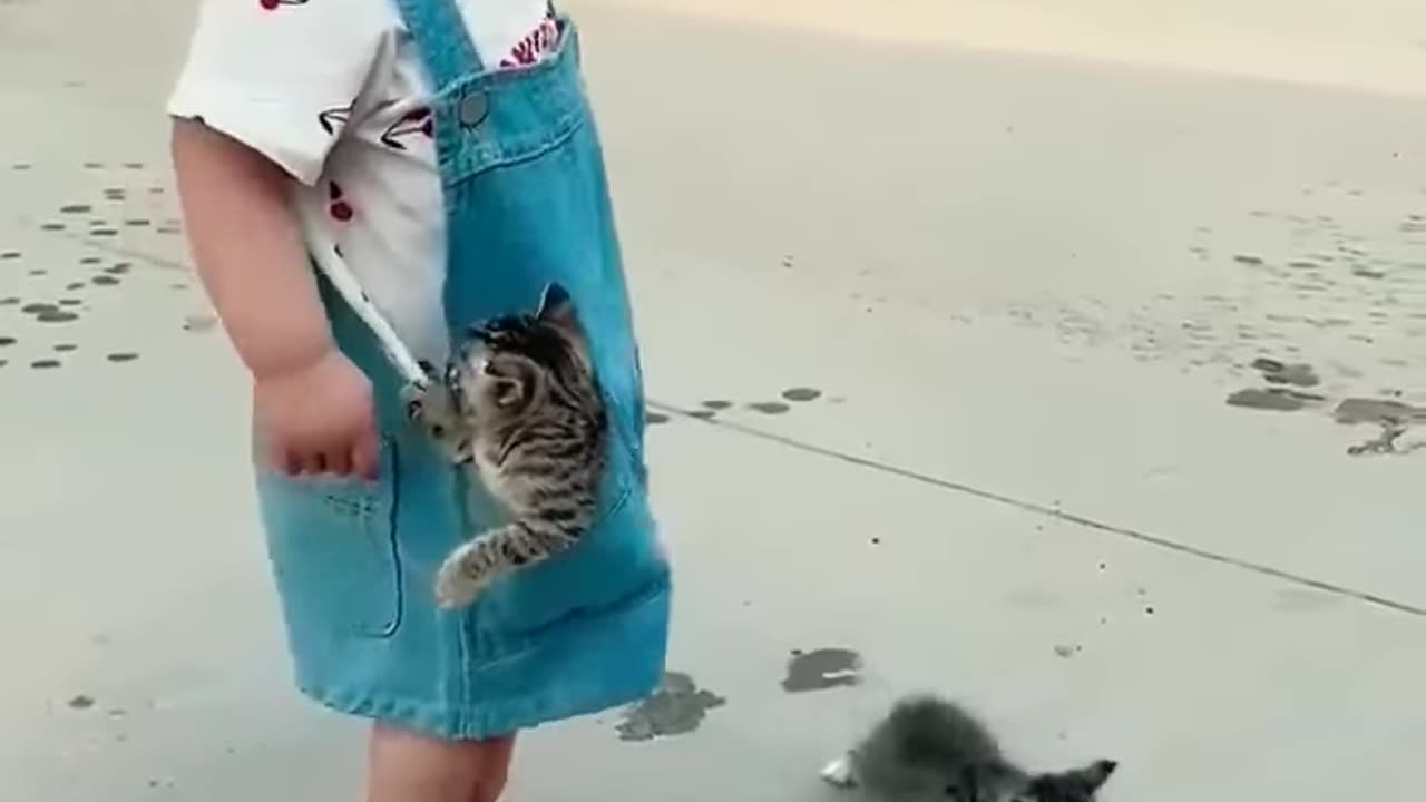 Funny baby with cat