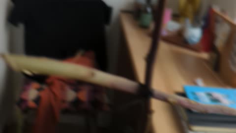Exorcising The Cat