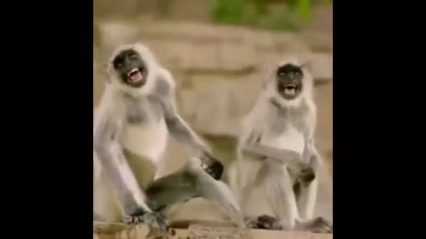 এ কেমন ফেসবুক সেলেব্রিটি - Bangla Funny Video 2020 - Deshivau