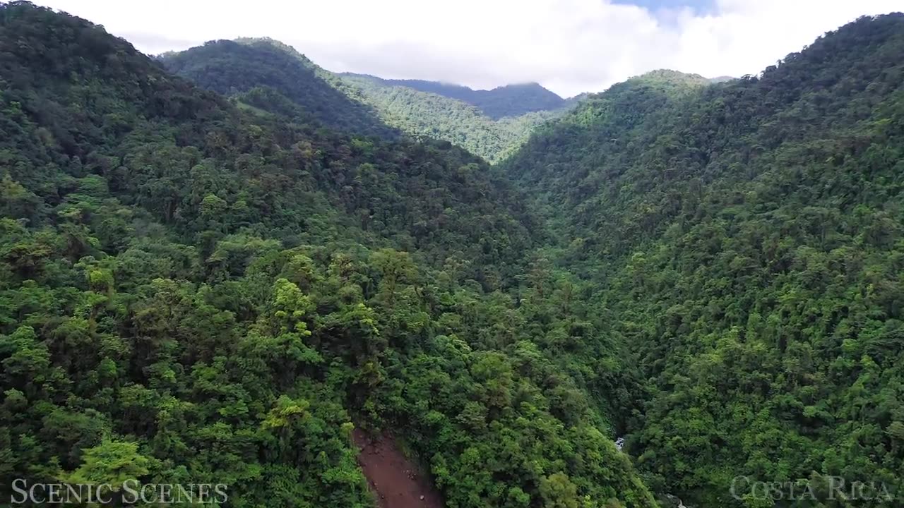 Tropical Rainforest 4K - Amazon, Costa Rica, Tasmania | Jungle Sounds | Scenic Relaxation Film