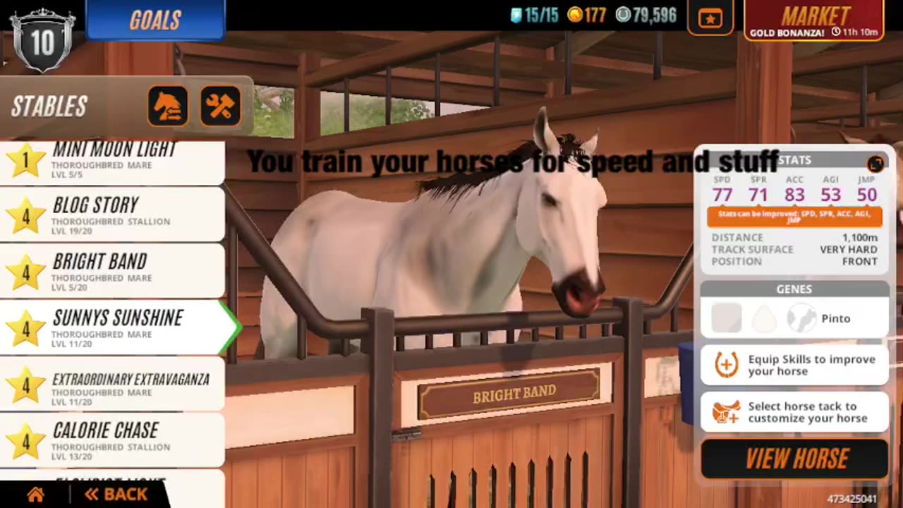 Rival stars horse racing