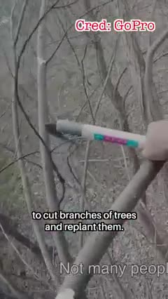 You be my arms and I'll be your eyes