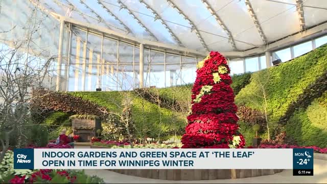 ‘The Leaf’ open in time for Winnipeg winter