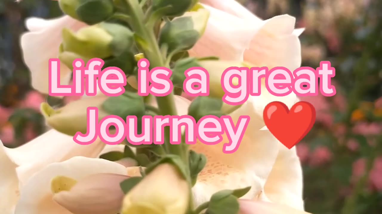 Life is a great Journey ❤️