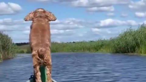 Enjoying a boat ride