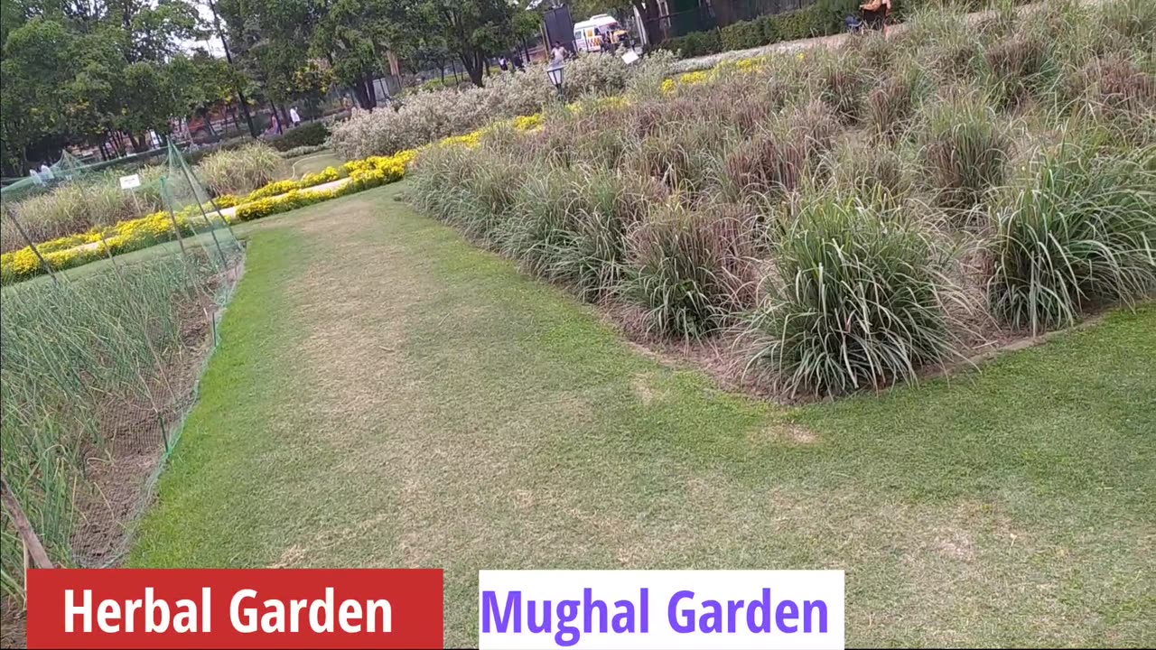 Herbal Garden | Mughal Garden | Amrit Udyan