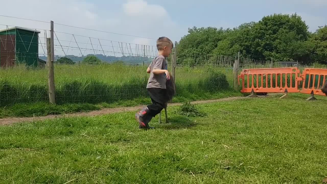 Kid dances with trio of baby emus