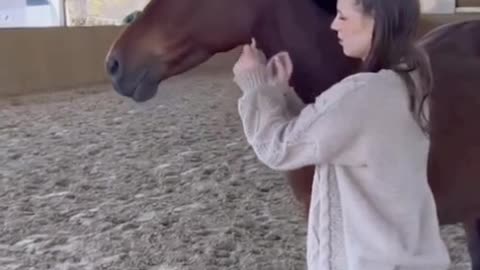 Funny videos scenes