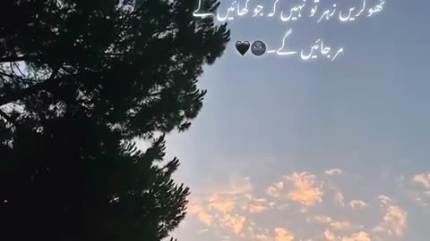 Feeling 💔