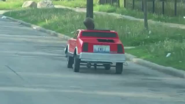 Dude Cruises Off in Tiny Car