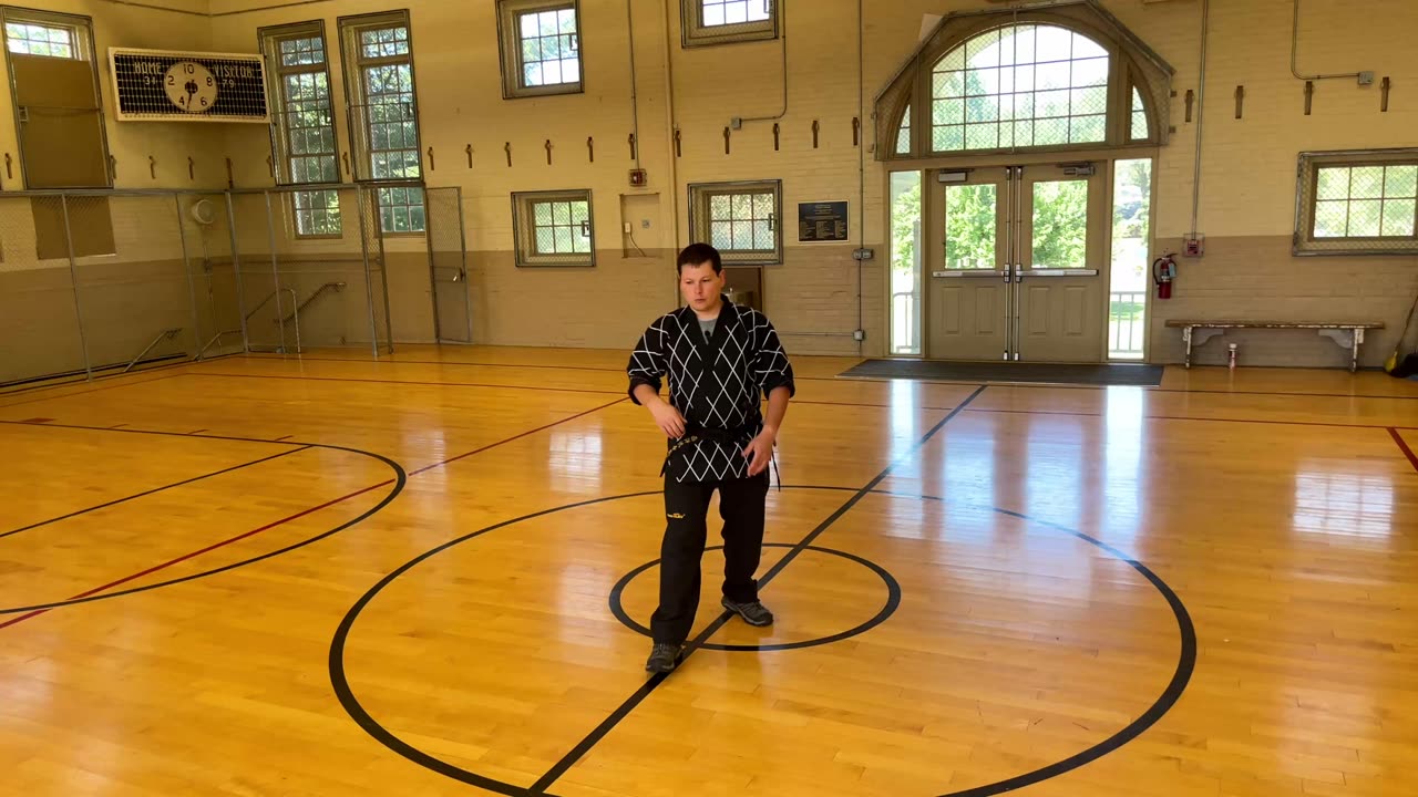 Seiyo-ryu Aikibujutsu Footwork