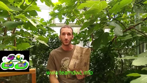 flying pest ipm