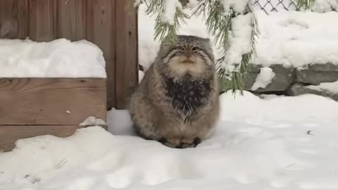 My feet are cold