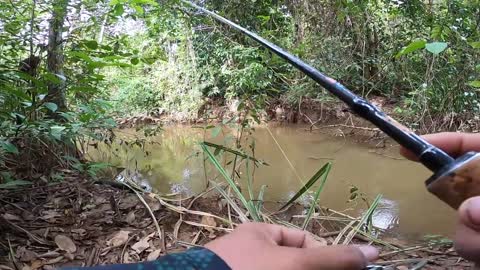 Pancing ikan di hutan luar biasa sekali