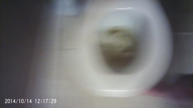 Rockydennis Presents "Taking a Dump : YT" Poopflush Short