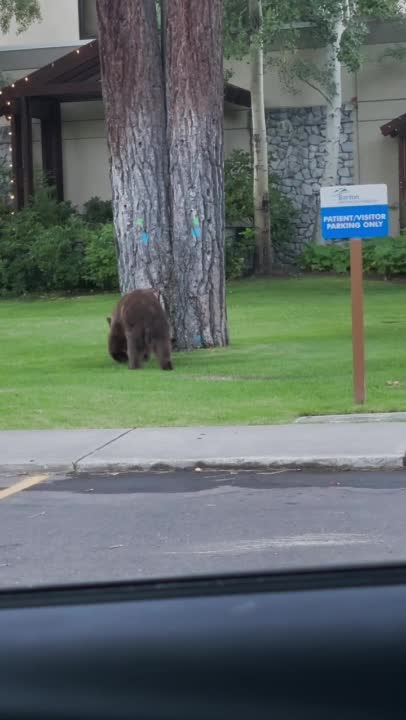 You can’t park there, keep it movin’