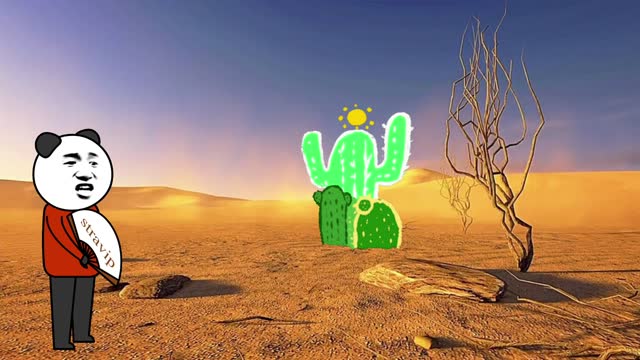 How animals and plants survive in the desert