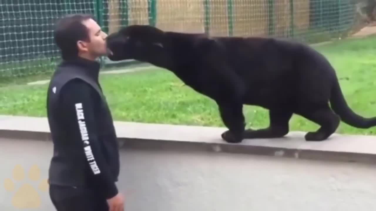 These animals know their owners