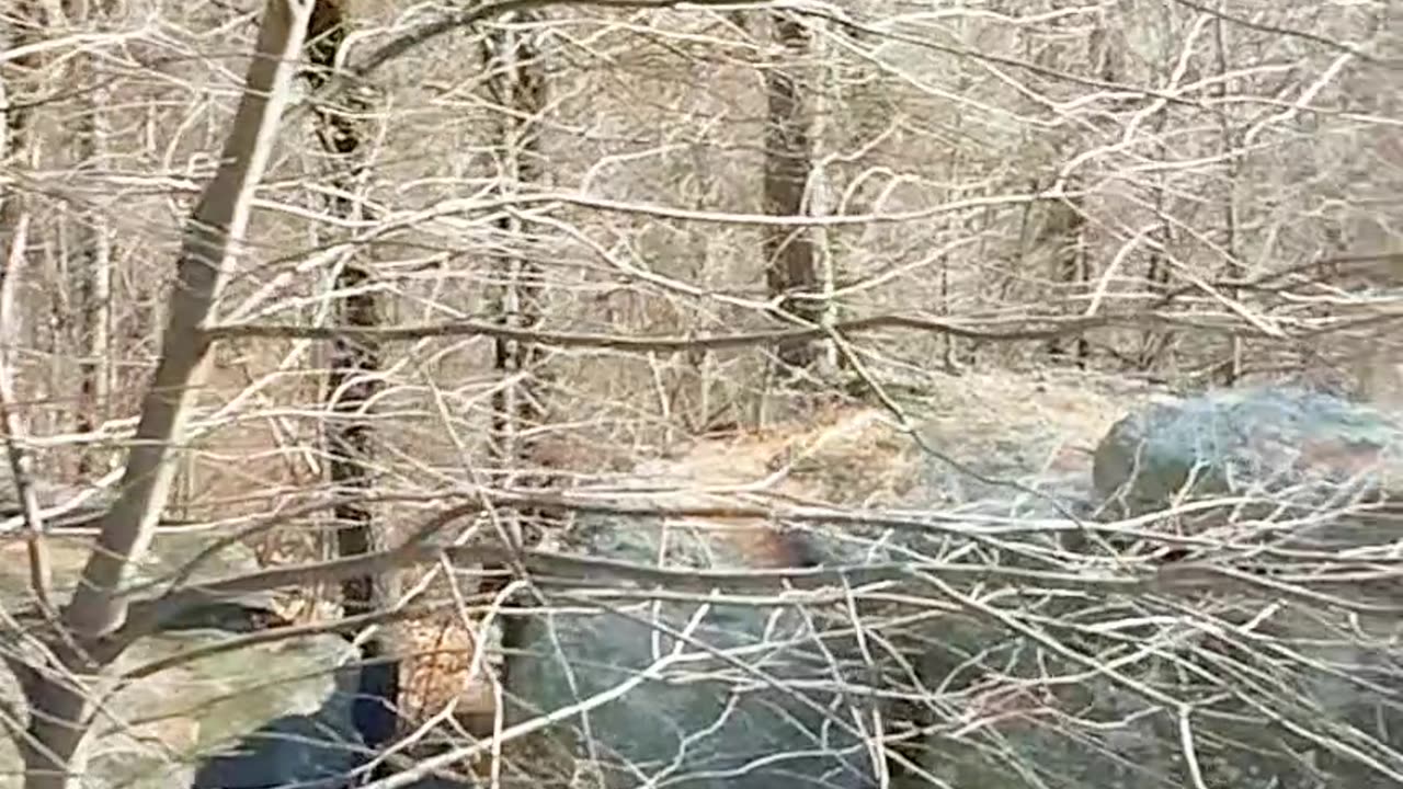 High Rocks also know as the Box Car rocks