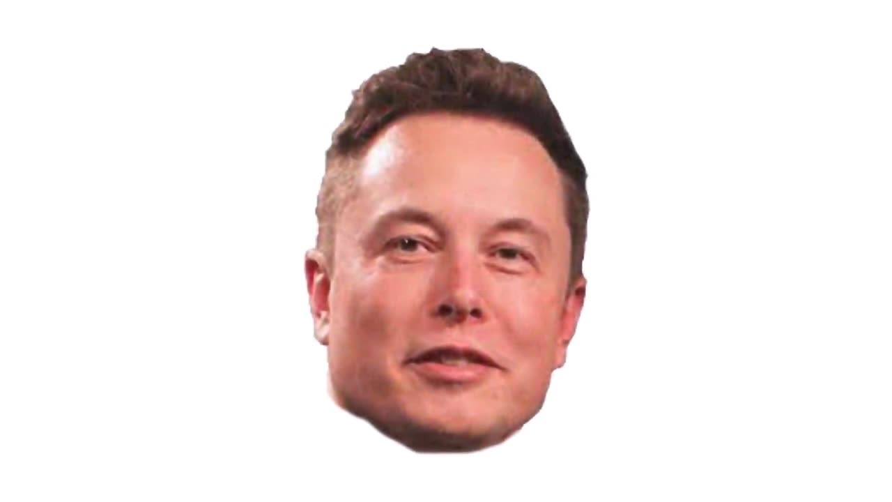 Elon Musk gay