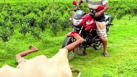 Funny video