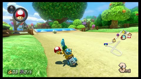 Mario Kart8 Deluxe Race44