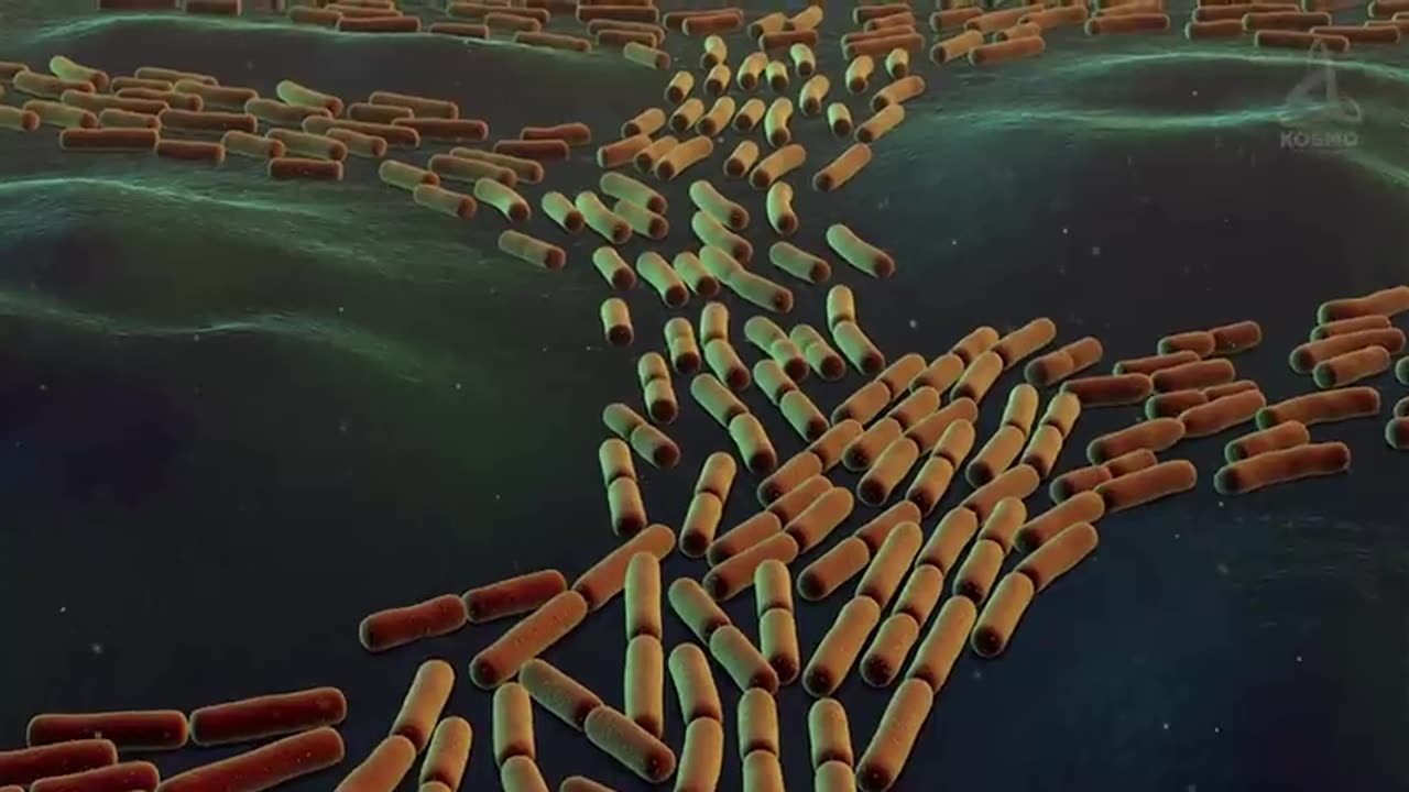 WHAT_HAPPENED_DURING_GLOBAL_EXTINCTIONS