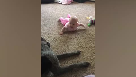 Cute Babies Playing With Dogs Compilation _ Funny Baby And Pets~9