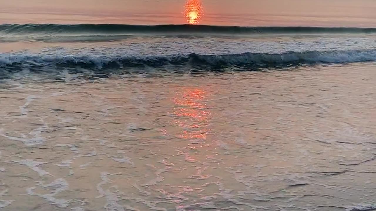 Sea + sun set veiw