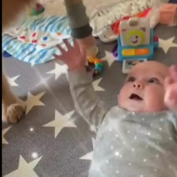 "Puppy Love: How Dogs and Babies Create Lifelong Bonds"