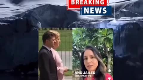 TULSI GABBARD "SOS"