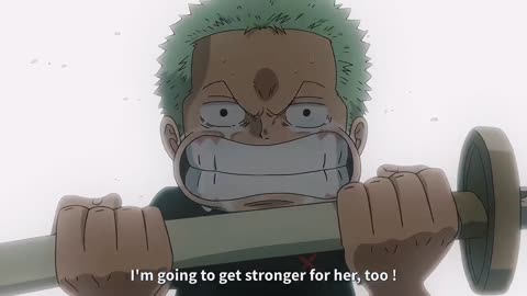 One piece zoro's journey